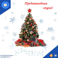 Предновогодняя акция (декабрь 2024г.) Предновогодняя акция (декабрь 2024г.).